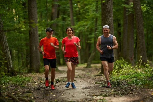 Gruppe Von Drei Läufern Joggt Auf Laufstrecke Durch Den Wald — Stockfoto
