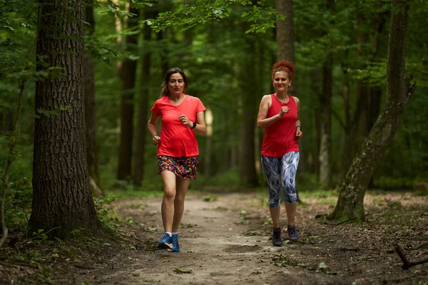 森でジョギングトレイルで走っている2人の幸せで健康な女性 — ストック写真