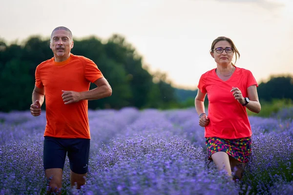 Couple Runners Jogging Lavender Plantation Sunset — Stock Photo, Image