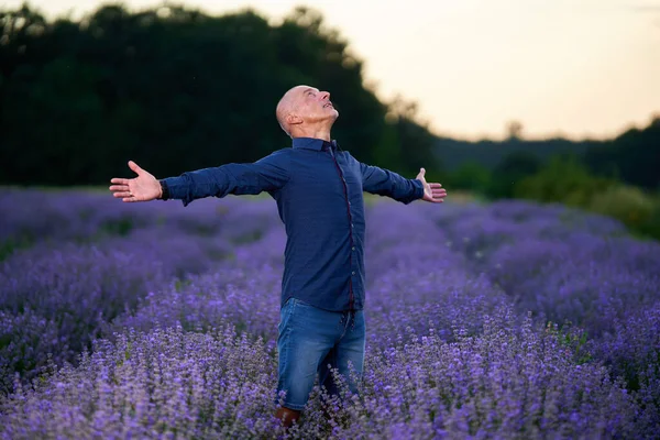 Volwassen Man Een Lavendelveld Bij Zonsondergang Professionele Lichtopstelling — Stockfoto