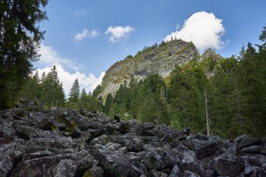 Romanya 'daki Detunatele' den bazalt jeolojik kolon oluşumları, lavlar hızla kuruduğunda meydana gelen doğal olaylar