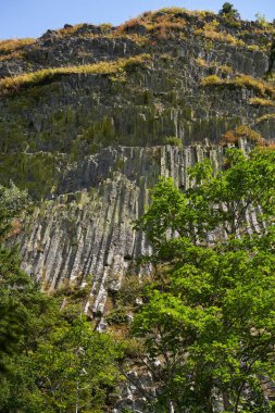 Romanya 'daki Detunatele' den bazalt jeolojik kolon oluşumları, lavlar hızla kuruduğunda meydana gelen doğal olaylar