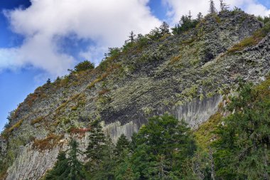 Romanya 'daki Detunatele' den bazalt jeolojik kolon oluşumları, lavlar hızla kuruduğunda meydana gelen doğal olaylar