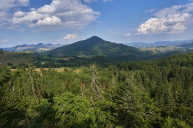 Yazın sonlarında sık ormanlarla kaplı dağlarla kaplı bir manzara.