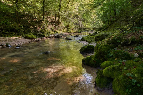 Orört Paradis Rumänska Berg Med Flodravin Och Orörda Vatten Mossiga — Stockfoto