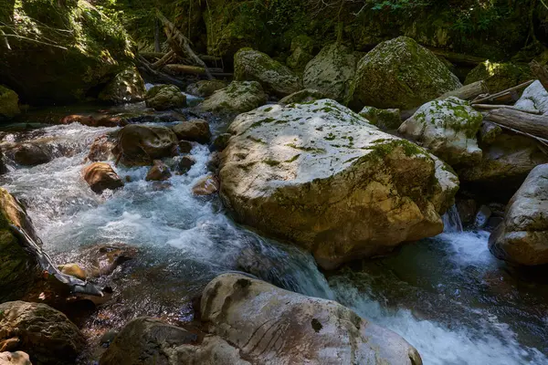 罗马尼亚山区未触及的乐园 有河流峡谷 清澈的水 苔藓丛生的巨石和森林 — 图库照片