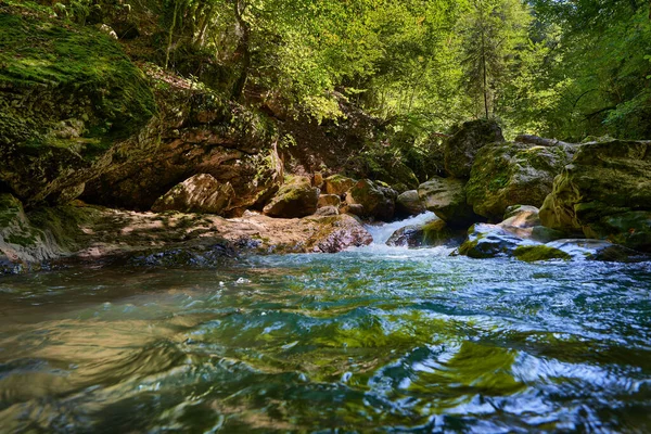 ルーマニアの山々で手つかずのパラダイス 川のゴージャスと原始の水 モッシーボールドと森 — ストック写真