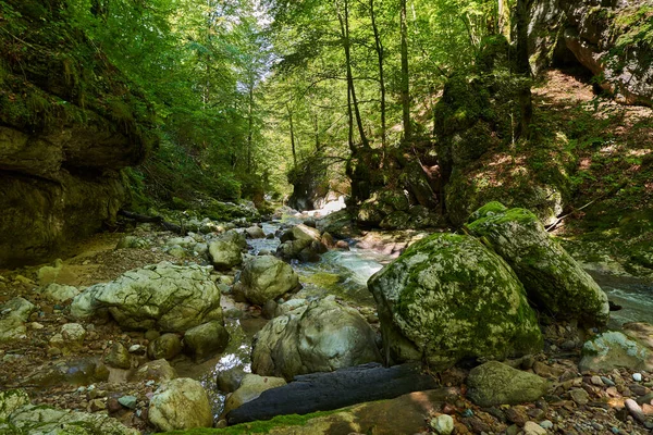 Paraíso Intocado Nas Montanhas Romenas Com Desfiladeiro Fluvial Águas Cristalinas — Fotografia de Stock