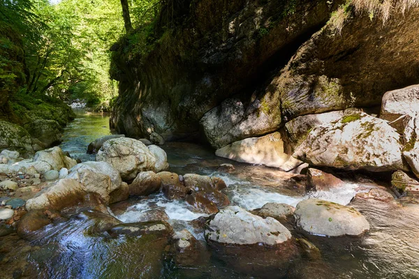 ルーマニアの山々で手つかずのパラダイス 川のゴージャスと原始の水 モッシーボールドと森 — ストック写真