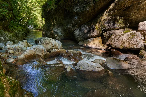 Untouched Paradise Romanian Mountains River Gorge Pristine Waters Mossy Boulders — Stock Photo, Image