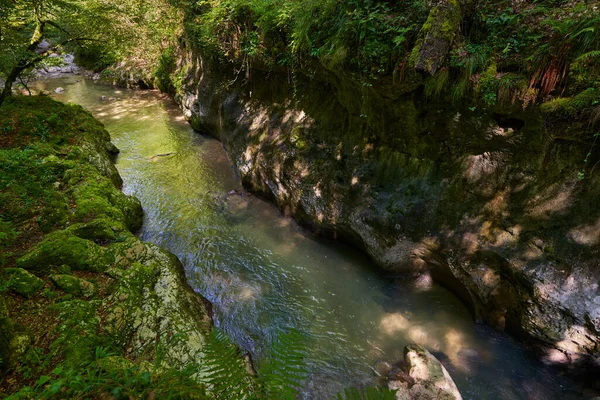 Unberührtes Paradies Den Rumänischen Bergen Mit Flussschlucht Und Klarem Wasser — Stockfoto