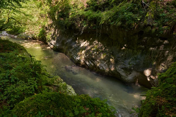 Onaangetast Paradijs Roemeense Bergen Met Rivierkloof Ongerept Water Mossige Rotsblokken — Stockfoto