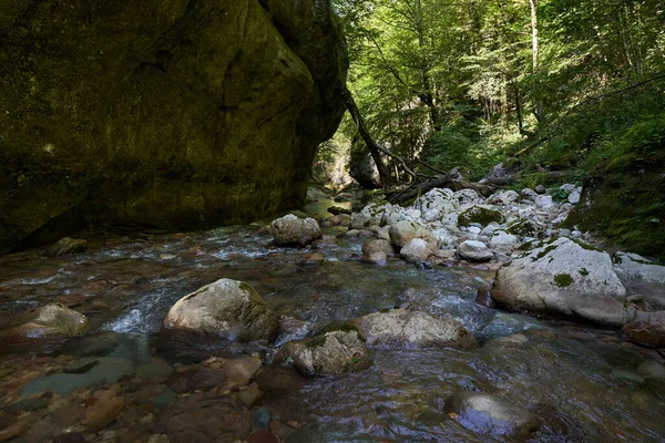 Nietknięty Raj Rumuńskich Górach Wąwozem Rzecznym Dziewiczymi Wodami Meczetowymi Głazami — Zdjęcie stockowe