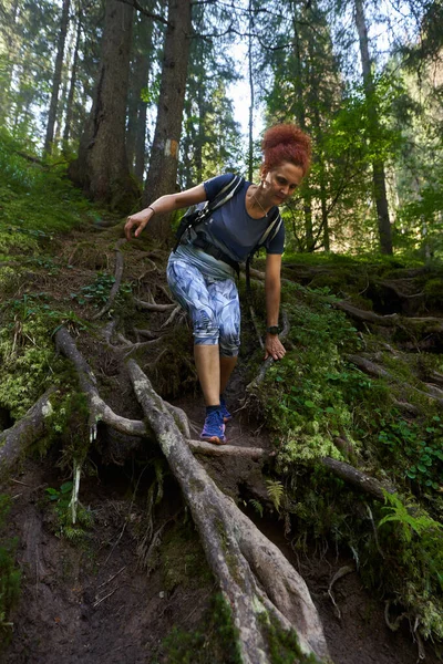 Vrouwelijke Wandelaar Met Rugzak Wandelen Het Bergwoud — Stockfoto