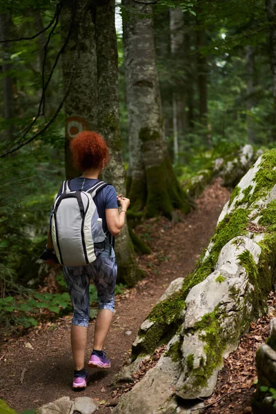 Woman Hiker Backpack Hiking Mountain Forest — Stock Photo, Image