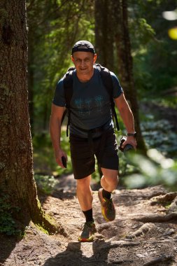 Sırt çantalı profesyonel doğa fotoğrafçısı kamerayla dağlarda ormana doğru yürüyor.