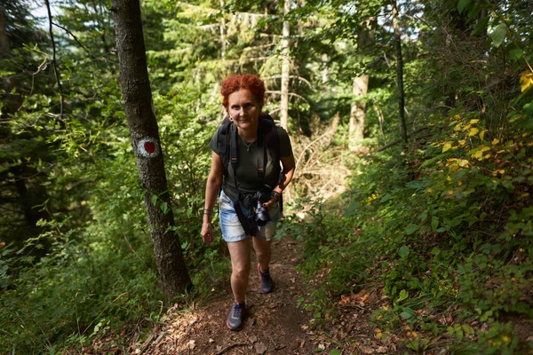 Vrouw Wandelaar Met Rugzak Camera Wandelen Het Bergwoud — Stockfoto