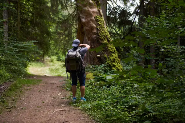 Professioneller Naturfotograf Mit Rucksack Wandert Mit Kamera Den Wald Den — Stockfoto