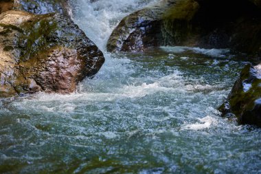 Akıntılı dağ nehri ve kayalar ve yosunlu kayalar arasında hızla akan saf gök mavisi suyu.