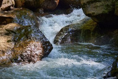 Akıntılı dağ nehri ve kayalar ve yosunlu kayalar arasında hızla akan saf gök mavisi suyu.