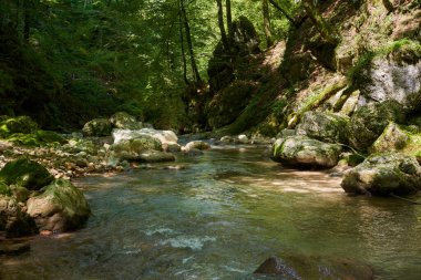 Dağ nehri, yemyeşil bitki örtüsü ve yosunlu kayalarla dolu bir kanyondan akıyor.