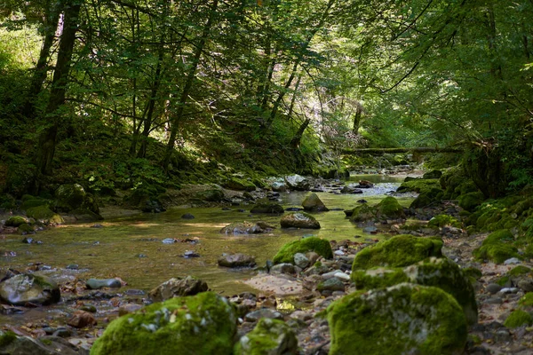 Sungai Pegunungan Mengalir Melalui Ngarai Dengan Vegetasi Lebat Dan Batu — Stok Foto