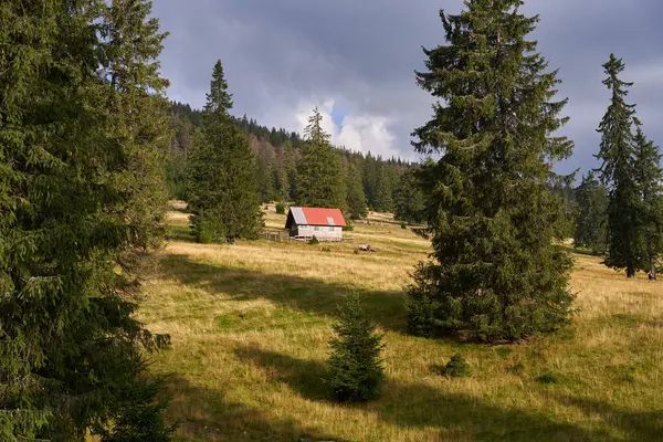 Spätsommerliche Landschaft Mit Bergen Kiefernwald — Stockfoto