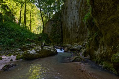 Dağ nehrinin canlı manzarası kocaman yosunlu kayalar ve ormanlarla dolu bir kanyondan geçiyor.