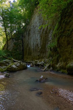 Dağ nehrinin canlı manzarası kocaman yosunlu kayalar ve ormanlarla dolu bir kanyondan geçiyor.
