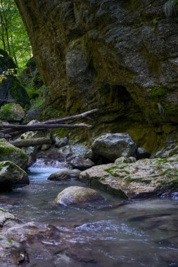 Dağ nehrinin canlı manzarası kocaman yosunlu kayalar ve ormanlarla dolu bir kanyondan geçiyor.