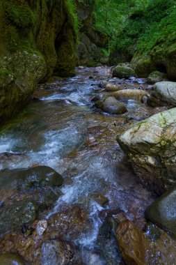 Dağ nehrinin canlı manzarası kocaman yosunlu kayalar ve ormanlarla dolu bir kanyondan geçiyor.