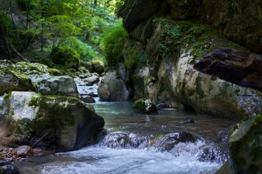Dağ nehrinin canlı manzarası kocaman yosunlu kayalar ve ormanlarla dolu bir kanyondan geçiyor.