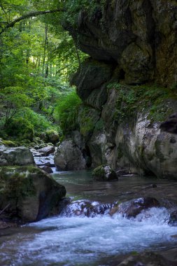 Dağ nehrinin canlı manzarası kocaman yosunlu kayalar ve ormanlarla dolu bir kanyondan geçiyor.