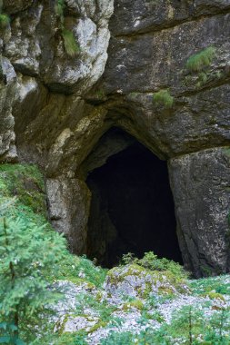 Karst kompleksinin bir parçası olan kireçtaşı bir dağda kazılmış bir mağaranın girişi.