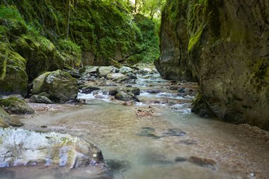 Dağ nehrinin canlı manzarası kocaman yosunlu kayalar ve ormanlarla dolu bir kanyondan geçiyor.