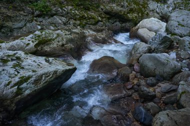 Dağ nehrinin canlı manzarası kocaman yosunlu kayalar ve ormanlarla dolu bir kanyondan geçiyor.