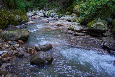 Dağ nehrinin canlı manzarası kocaman yosunlu kayalar ve ormanlarla dolu bir kanyondan geçiyor.