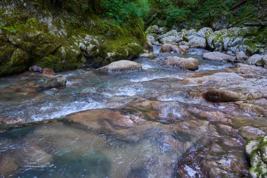 Dağ nehrinin canlı manzarası kocaman yosunlu kayalar ve ormanlarla dolu bir kanyondan geçiyor.