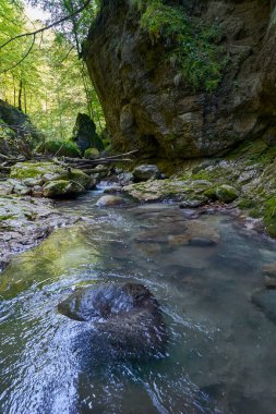 Dağ nehrinin canlı manzarası kocaman yosunlu kayalar ve ormanlarla dolu bir kanyondan geçiyor.