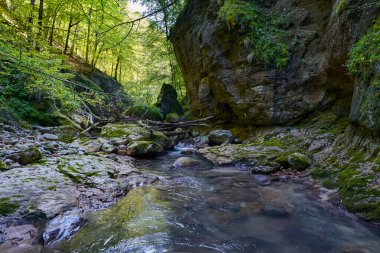 Dağ nehrinin canlı manzarası kocaman yosunlu kayalar ve ormanlarla dolu bir kanyondan geçiyor.