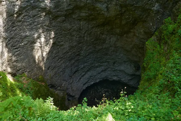 森の真ん中にあるシンクホール 垂直の洞窟 — ストック写真