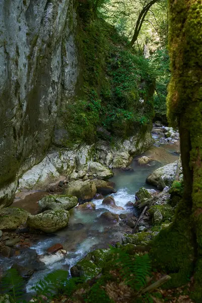 Dağ nehrinin canlı manzarası kocaman yosunlu kayalar ve ormanlarla dolu bir kanyondan geçiyor.