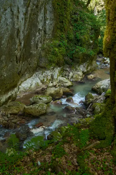 陡峭的山川风景穿过长满青苔的巨石和森林的峡谷 — 图库照片