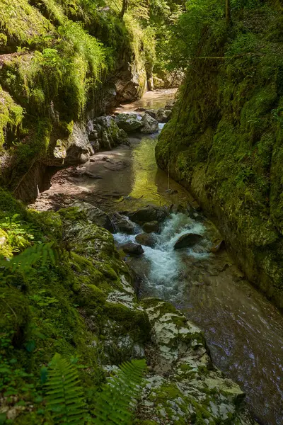 Vibrant Landscape Mountain River Carving Its Way Canyon Huge Mossy — Stock Photo, Image