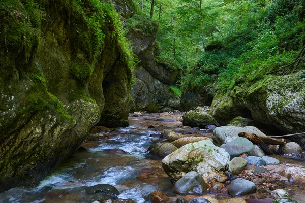 Dağ nehrinin canlı manzarası kocaman yosunlu kayalar ve ormanlarla dolu bir kanyondan geçiyor.
