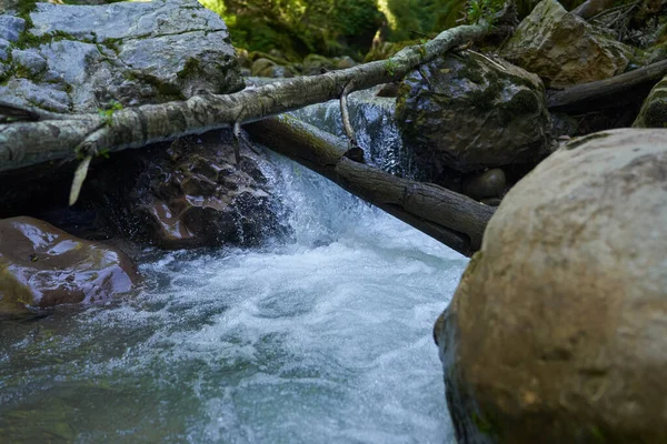 Dağ nehrinin canlı manzarası kocaman yosunlu kayalar ve ormanlarla dolu bir kanyondan geçiyor.