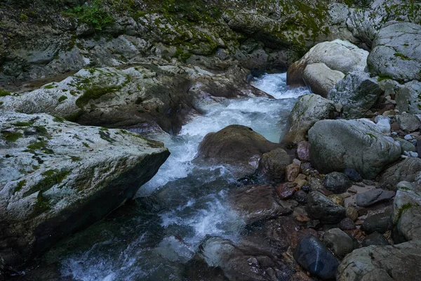 Dağ nehrinin canlı manzarası kocaman yosunlu kayalar ve ormanlarla dolu bir kanyondan geçiyor.
