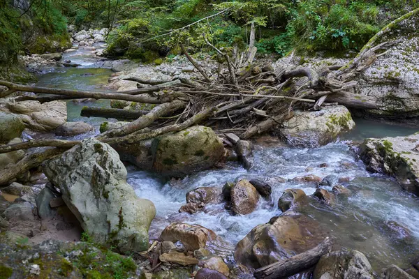 Dağ nehrinin canlı manzarası kocaman yosunlu kayalar ve ormanlarla dolu bir kanyondan geçiyor.