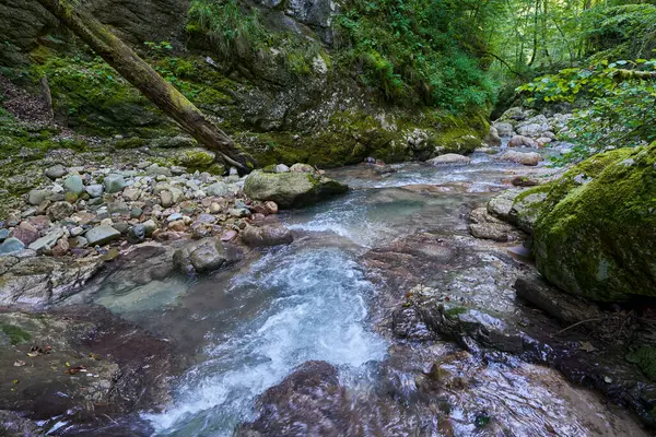 Dağ nehrinin canlı manzarası kocaman yosunlu kayalar ve ormanlarla dolu bir kanyondan geçiyor.