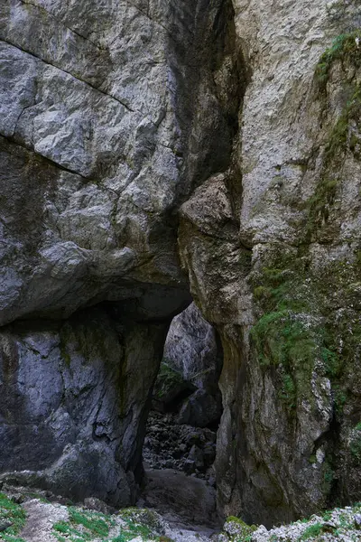 Είσοδος Σπηλαίου Σκαμμένου Ασβεστολιθικό Βουνό Τμήμα Συγκροτήματος Καρστ Royalty Free Εικόνες Αρχείου
